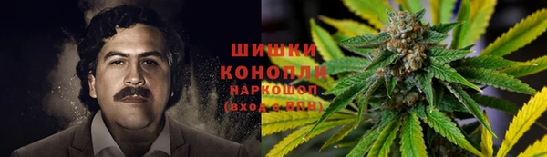 стаф Абаза