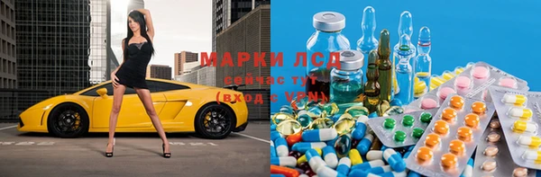 стаф Абаза